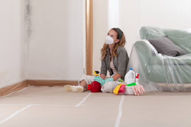 Reliable Black Mold Removal contractor in Pennsauken, NJ by WQB Mold Removal